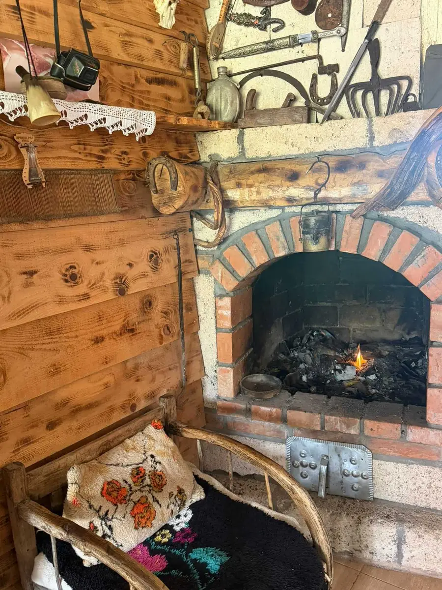 Kamin sa vatrom