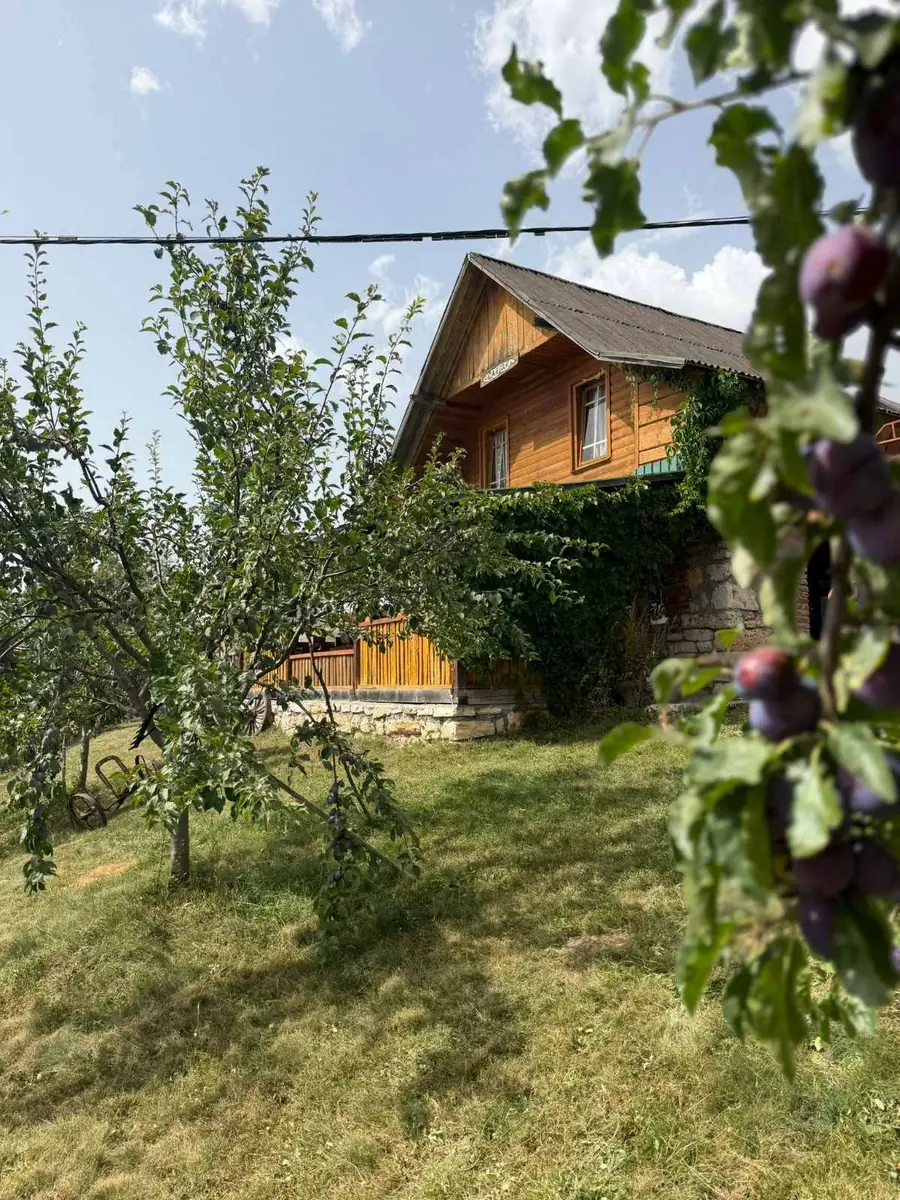 Voćnjak oko vikendice